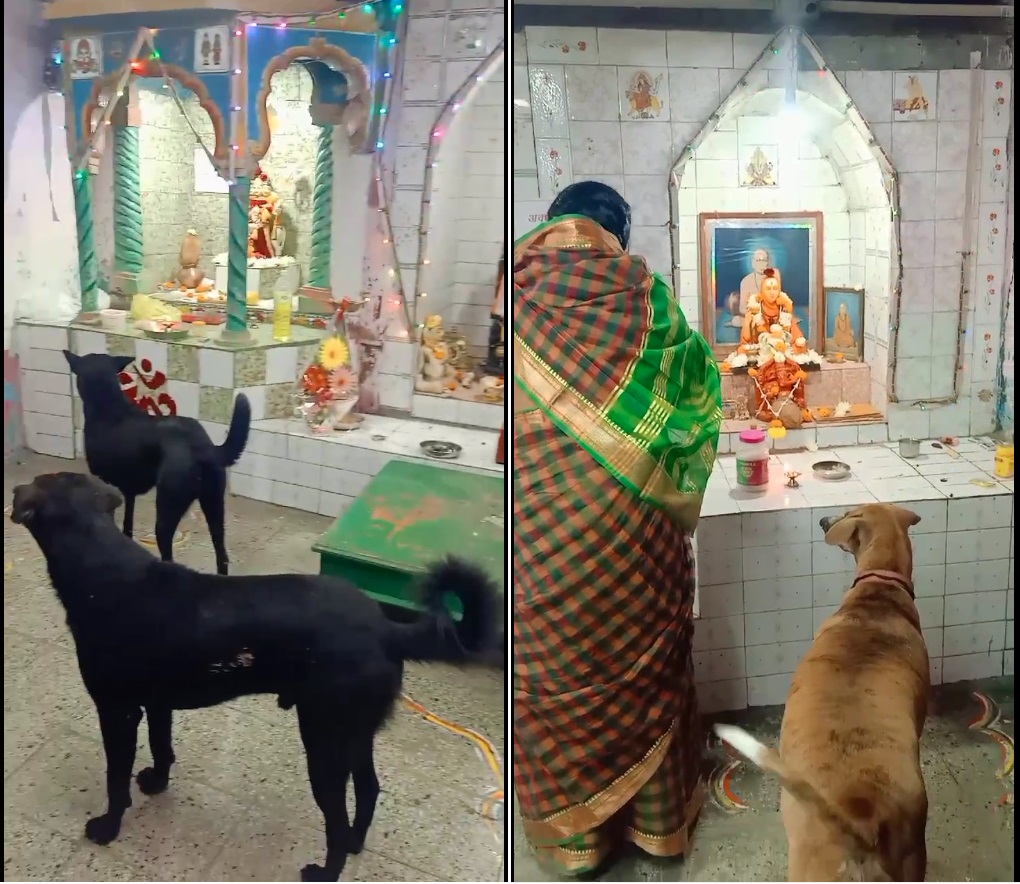 पारायण २०२४